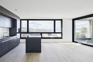 Centralplatz, Thalwil, Modell Ansicht, , Fischer Architekten AG Zürich